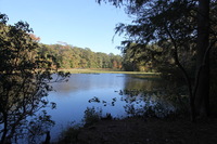 Canon EOS 5D Mark II, 2016:11:06 14:27:02 -- 1/125 sec, f/14.0.  No Flash, Compulsory.5616x3744 