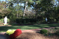 Canon EOS 5D Mark II, 2016:11:06 14:58:00 -- 1/160 sec, f/9.0.  No Flash, Compulsory.5616x3744 