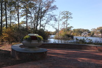 Canon EOS 5D Mark II, 2016:11:06 14:58:19 -- 1/80 sec, f/18.0.  No Flash, Compulsory.5616x3744 