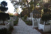 Canon EOS 5D Mark II, 2016:11:06 15:06:59 -- 1/125 sec, f/8.0.  No Flash, Compulsory.5616x3744 