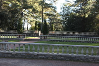 Canon EOS 5D Mark II, 2016:11:06 15:29:51 -- 1/160 sec, f/6.3.  No Flash, Compulsory.5616x3744 