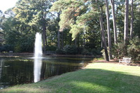 Canon EOS 5D Mark II, 2016:11:06 15:31:30 -- 1/100 sec, f/7.1.  No Flash, Compulsory.5616x3744 