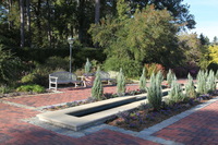 Canon EOS 5D Mark II, 2016:11:06 15:34:15 -- 1/160 sec, f/13.0.  No Flash, Compulsory.5616x3744 