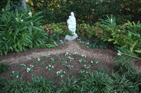 Canon EOS 5D Mark II, 2016:11:06 15:59:15 -- 1/60 sec, f/5.0.  No Flash, Compulsory.5616x3744 