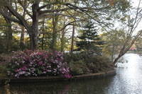 Canon EOS 5D Mark II, 2016:11:06 16:37:13 -- 1/125 sec, f/7.1.  No Flash, Compulsory.5616x3744 