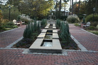 Canon EOS 5D Mark II, 2016:11:06 16:49:18 -- 1/60 sec, f/13.0.  No Flash, Compulsory.5616x3744 