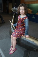 Canon EOS 5D Mark II, 2016:12:18 16:20:54 -- 1/30 sec, f/4.0.  No Flash, Compulsory.5616x3744 