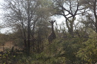 Canon EOS 5D Mark II, 2017:05:25 13:30:12 -- 1/60 sec, f/14.0.  No Flash, Compulsory.5616x3744 