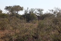 Canon EOS 5D Mark II, 2017:05:25 13:30:21 -- 1/60 sec, f/14.0.  No Flash, Compulsory.5616x3744 