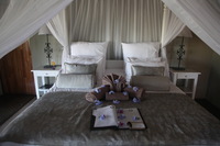 Canon EOS 5D Mark II, 2017:05:25 14:04:50 -- 1/60 sec, f/4.5.  No Flash, Compulsory.5616x3744 