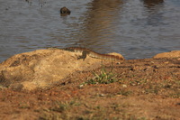 Canon EOS 5D Mark II, 2017:05:25 15:35:51 -- 1/100 sec, f/14.0.  No Flash, Compulsory.5616x3744 