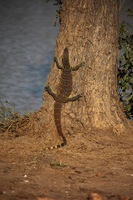 Canon EOS 5D Mark II, 2017:05:25 15:37:46 -- 1/640 sec, f/5.6.  No Flash, Compulsory.5616x3744 