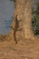 Canon EOS 5D Mark II, 2017:05:25 15:38:01 -- 1/100 sec, f/14.0.  No Flash, Compulsory.5616x3744 