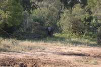 Canon EOS 5D Mark II, 2017:05:25 15:42:46 -- 1/100 sec, f/6.3.  No Flash, Compulsory.5616x3744 