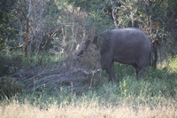 Canon EOS 5D Mark II, 2017:05:25 15:42:56 -- 1/400 sec, f/5.6.  No Flash, Compulsory.5616x3744 