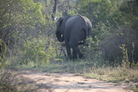 Canon EOS 5D Mark II, 2017:05:25 15:43:22 -- 1/400 sec, f/5.6.  No Flash, Compulsory.5616x3744 