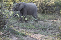 Canon EOS 5D Mark II, 2017:05:25 15:43:42 -- 1/100 sec, f/5.6.  No Flash, Compulsory.5616x3744 