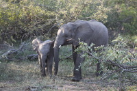 Canon EOS 5D Mark II, 2017:05:25 15:43:49 -- 1/125 sec, f/5.6.  No Flash, Compulsory.5616x3744 