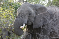 Canon EOS 5D Mark II, 2017:05:25 15:46:24 -- 1/80 sec, f/5.6.  No Flash, Compulsory.5616x3744 