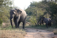 Canon EOS 5D Mark II, 2017:05:25 15:47:44 -- 1/100 sec, f/6.3.  No Flash, Compulsory.5616x3744 