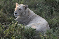 Canon EOS 5D Mark II, 2017:05:25 16:26:06 -- 1/125 sec, f/16.0.  No Flash, Compulsory.5616x3744 