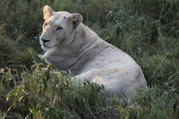 Canon EOS 5D Mark II, 2017:05:25 16:26:10 -- 1/125 sec, f/5.6.  No Flash, Compulsory.5616x3744 