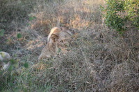 Canon EOS 5D Mark II, 2017:05:25 16:31:59 -- 1/200 sec, f/5.6.  No Flash, Compulsory.5616x3744 