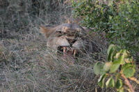 Canon EOS 5D Mark II, 2017:05:25 16:32:31 -- 1/250 sec, f/16.0.  No Flash, Compulsory.5616x3744 