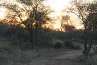 Canon EOS 5D Mark II, 2017:05:25 16:58:15 -- 1/100 sec, f/13.0.  No Flash, Compulsory.5616x3744 