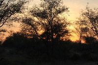 Canon EOS 5D Mark II, 2017:05:25 16:58:24 -- 1/80 sec, f/13.0.  No Flash, Compulsory.5616x3744 