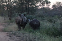 Canon EOS 5D Mark II, 2017:05:25 17:02:14 -- 1/100 sec, f/13.0.  No Flash, Compulsory.5616x3744 