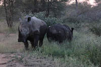 Canon EOS 5D Mark II, 2017:05:25 17:02:15 -- 1/125 sec, f/13.0.  No Flash, Compulsory.5616x3744 