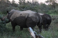 Canon EOS 5D Mark II, 2017:05:25 17:02:28 -- 1/80 sec, f/5.6.  No Flash, Compulsory.5616x3744 