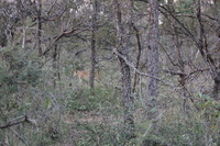 Canon EOS 5D Mark II, 2017:05:25 17:03:58 -- 1/160 sec, f/5.6.  No Flash, Compulsory.5616x3744 