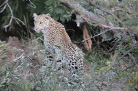 Canon EOS 5D Mark II, 2017:05:25 17:05:00 -- 1/160 sec, f/7.1.  No Flash, Compulsory.5616x3744 