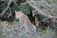 Canon EOS 5D Mark II, 2017:05:25 17:05:03 -- 1/125 sec, f/7.1.  No Flash, Compulsory.5616x3744 