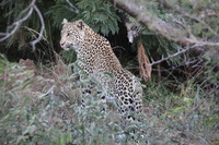 Canon EOS 5D Mark II, 2017:05:25 17:05:05 -- 1/160 sec, f/7.1.  No Flash, Compulsory.5616x3744 