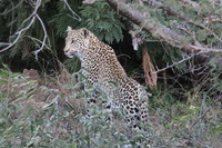 Canon EOS 5D Mark II, 2017:05:25 17:05:09 -- 1/50 sec, f/13.0.  No Flash, Compulsory.5616x3744 