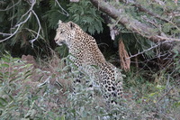 Canon EOS 5D Mark II, 2017:05:25 17:05:10 -- 1/20 sec, f/20.0.  No Flash, Compulsory.5616x3744 