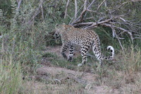 Canon EOS 5D Mark II, 2017:05:25 17:05:35 -- 1/80 sec, f/11.0.  No Flash, Compulsory.5616x3744 