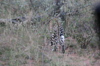 Canon EOS 5D Mark II, 2017:05:25 17:05:47 -- 1/160 sec, f/8.0.  No Flash, Compulsory.5616x3744 