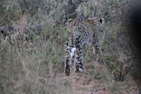 Canon EOS 5D Mark II, 2017:05:25 17:05:49 -- 1/160 sec, f/8.0.  No Flash, Compulsory.5616x3744 