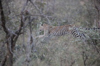 Canon EOS 5D Mark II, 2017:05:25 17:08:56 -- 1/250 sec, f/5.6.  No Flash, Compulsory.5616x3744 