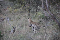 Canon EOS 5D Mark II, 2017:05:25 17:08:58 -- 1/200 sec, f/5.6.  No Flash, Compulsory.5616x3744 