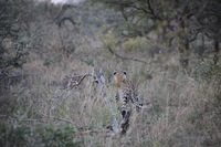 Canon EOS 5D Mark II, 2017:05:25 17:08:59 -- 1/320 sec, f/5.6.  No Flash, Compulsory.5616x3744 