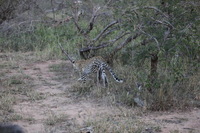 Canon EOS 5D Mark II, 2017:05:25 17:12:05 -- 1/100 sec, f/5.6.  No Flash, Compulsory.5616x3744 