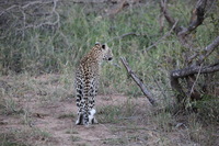 Canon EOS 5D Mark II, 2017:05:25 17:12:07 -- 1/200 sec, f/5.6.  No Flash, Compulsory.5616x3744 