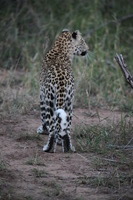 Canon EOS 5D Mark II, 2017:05:25 17:12:13 -- 1/250 sec, f/5.6.  No Flash, Compulsory.5616x3744 