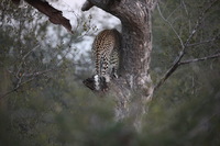 Canon EOS 5D Mark II, 2017:05:25 17:12:27 -- 1/200 sec, f/5.6.  No Flash, Compulsory.5616x3744 