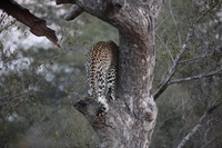 Canon EOS 5D Mark II, 2017:05:25 17:12:31 -- 1/200 sec, f/5.6.  No Flash, Compulsory.5616x3744 